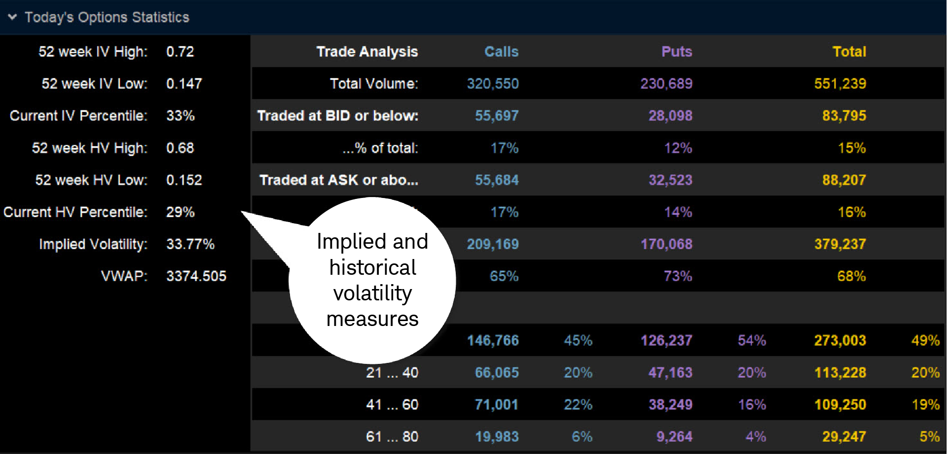 : Image shows where to find options stats, such as implied volatility percentile and other implied and historical volatility measures, under Today's Options Statistics. 